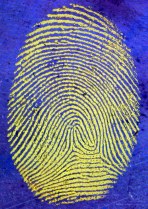 fingerprint with blue background
