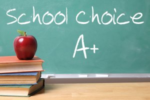 School-Choice-700x466-1